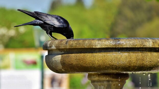 fountain repair