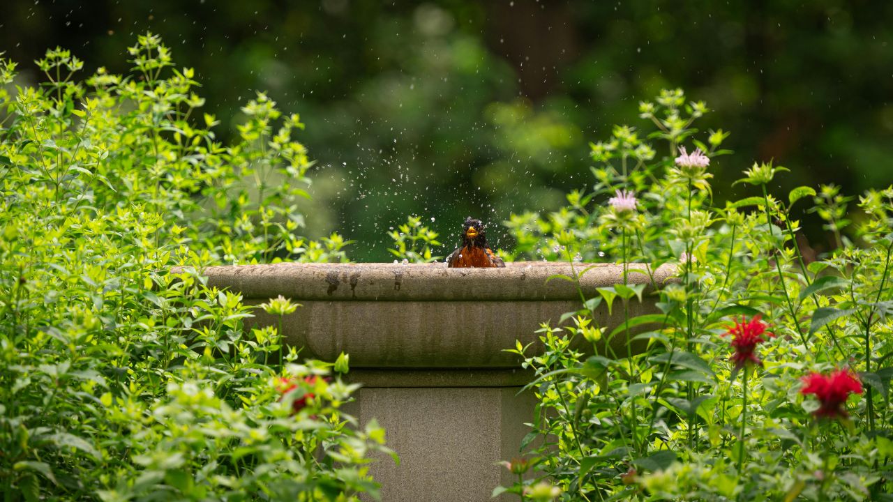 garden fountain repair in Orange County