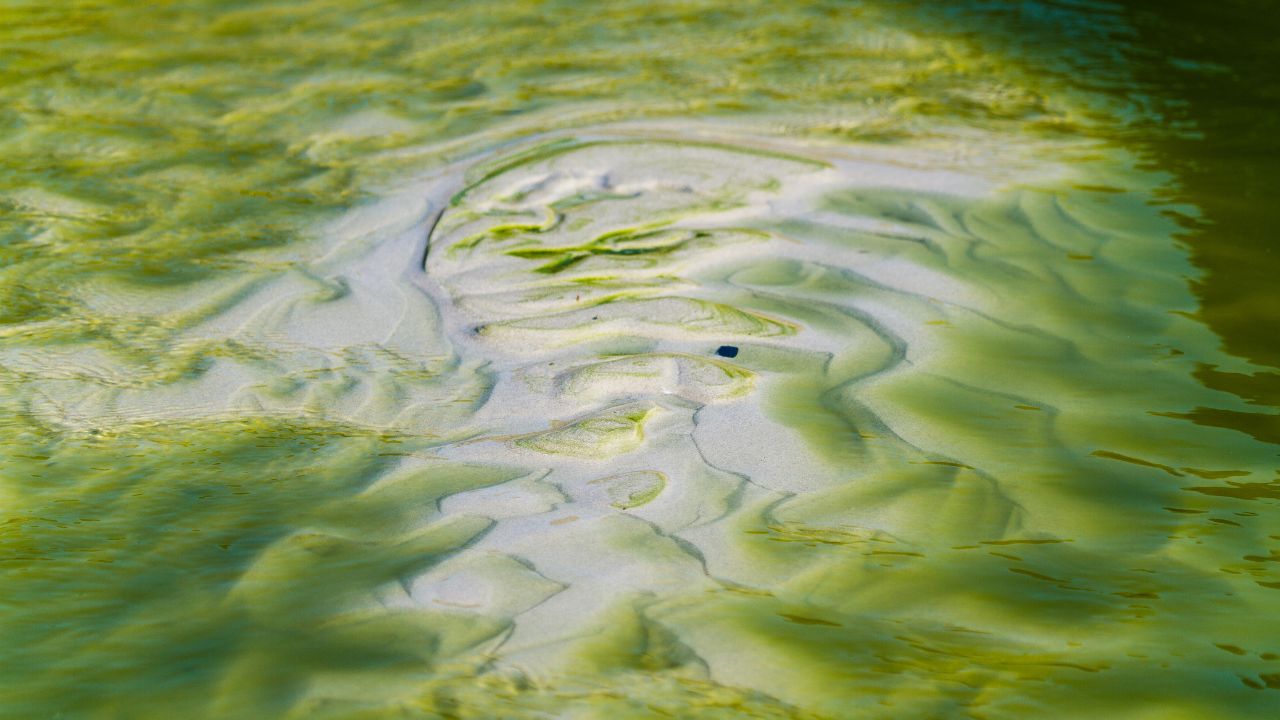 Orange County Pond Services