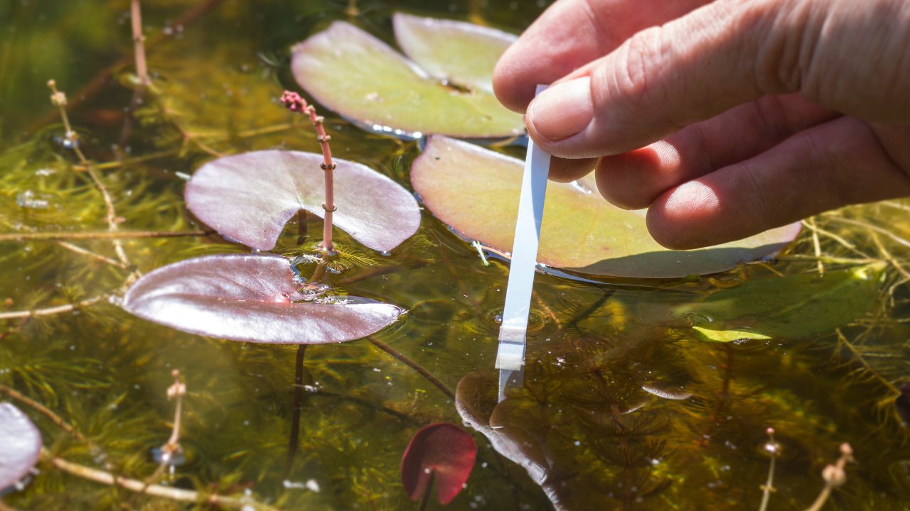 pond fountain parts and supplies in Orange County