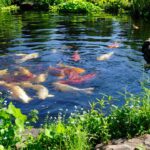 replace pond pump