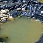 pond liner replacement vs repair