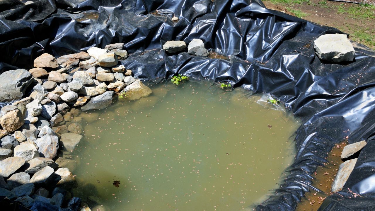 pond liner replacement vs repair