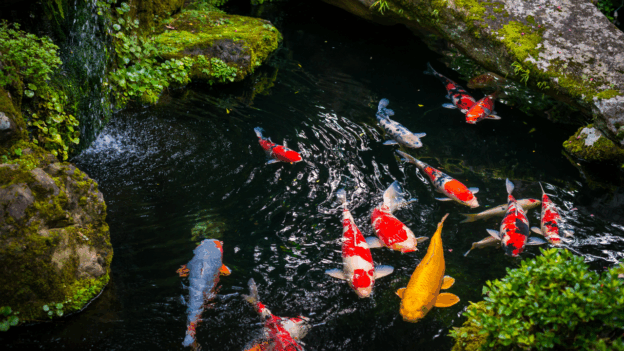 fountain repair in Orange County