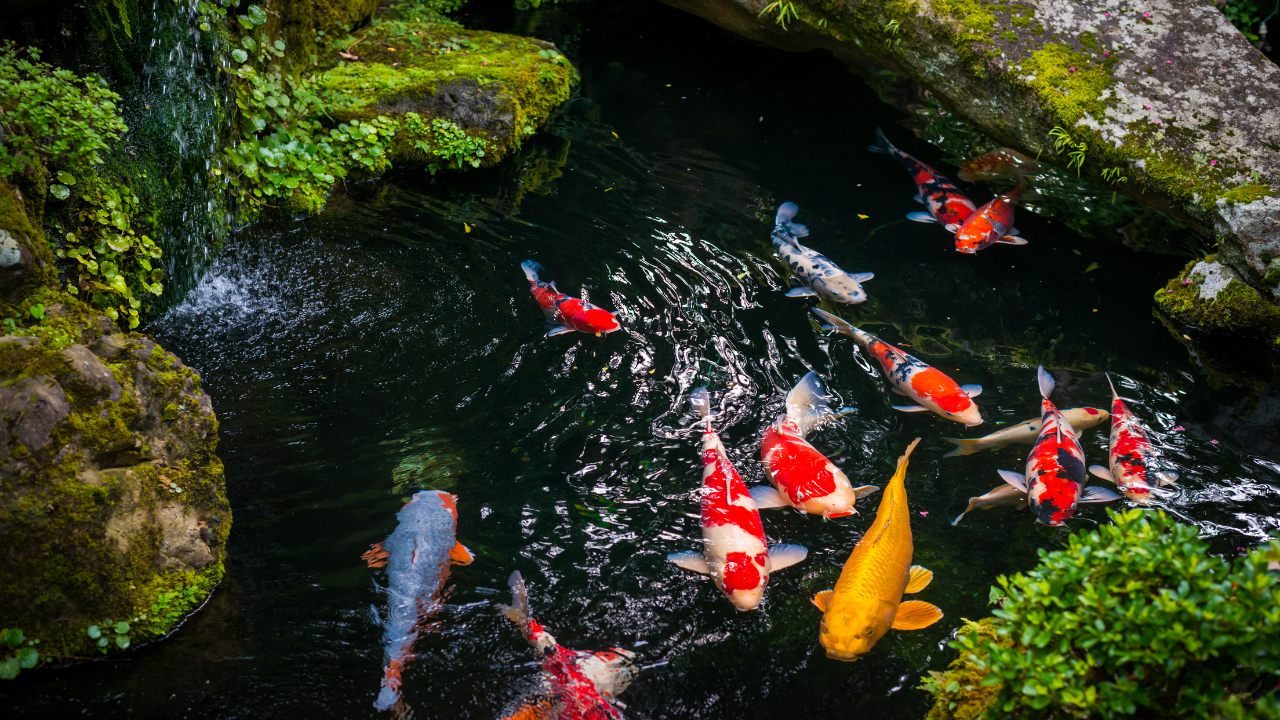 fountain repair in Orange County