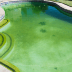 Effective pond care