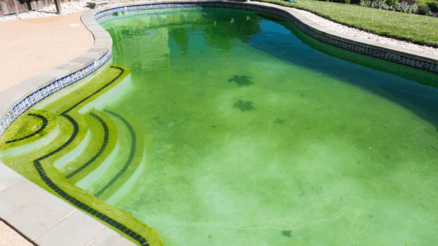 Effective pond care