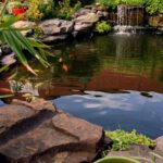natural ways to eliminate pond algae without harsh chemicals