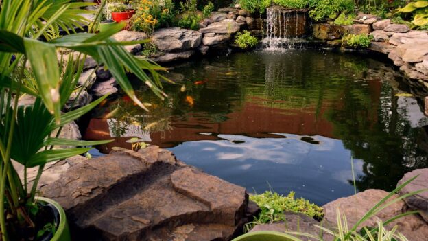 natural ways to eliminate pond algae without harsh chemicals
