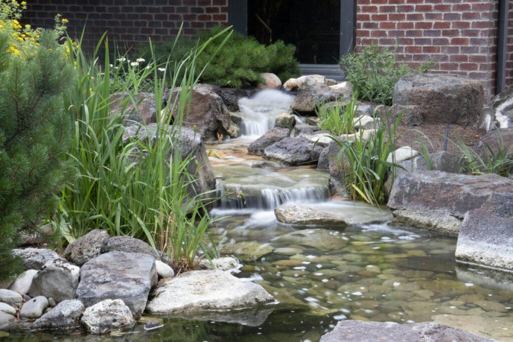Pond Maintenance Service Pricing: What Affects Your Monthly Cost