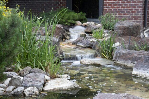 Pond Maintenance Service Pricing: What Affects Your Monthly Cost
