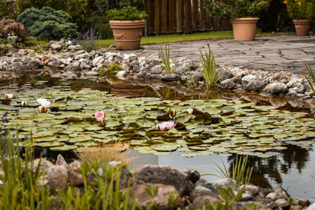 Pond Repair Costs in Orange County: Common Repairs and Pricing