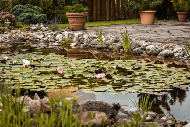 Pond Repair Costs in Orange County: Common Repairs and Pricing