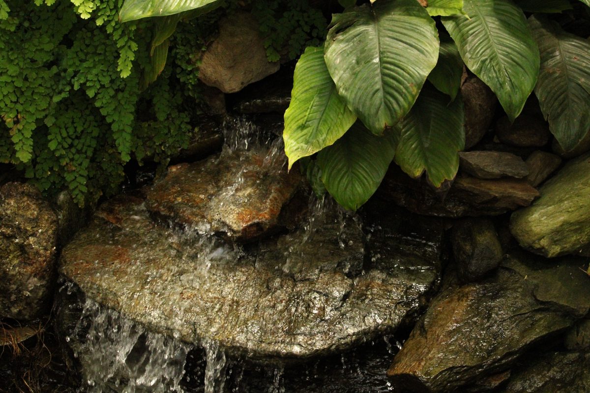 How to Design a Rock Garden Fountain That Looks Natural