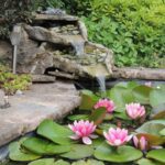 How to Evaluate Pond Repair Quotes: What to Look For