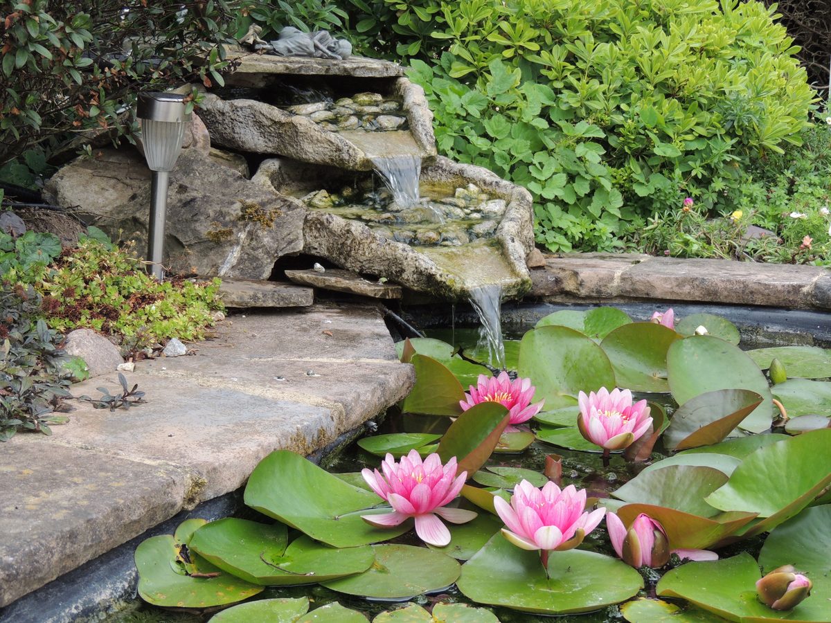 How to Evaluate Pond Repair Quotes: What to Look For