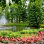 Best Fountain Sizes for Different Yard Dimensions