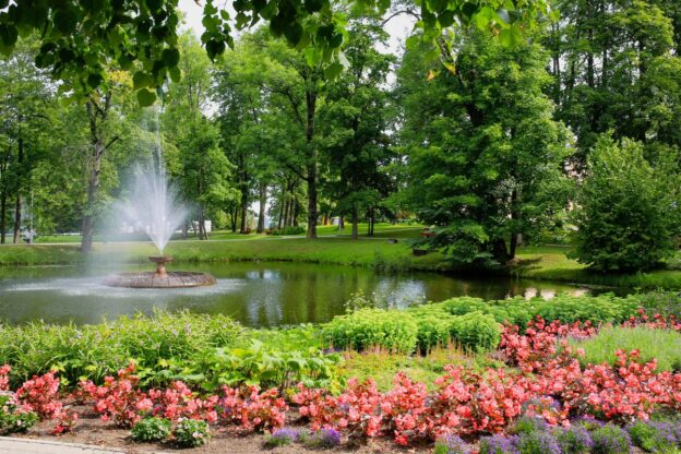 Best Fountain Sizes for Different Yard Dimensions