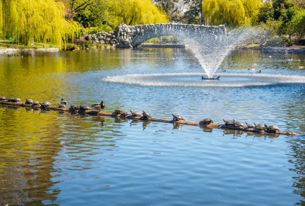 Can You Leave a Fountain Uncovered Year-Round in Orange County?