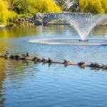 Can You Leave a Fountain Uncovered Year-Round in Orange County?