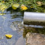 Emergency Pond Repair Costs: What to Expect for Urgent Issues