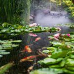Pond Plants for Orange County's Mediterranean Climate